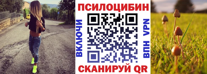 ссылка на мегу ONION  Мирный  Псилоцибиновые грибы Magic Shrooms 