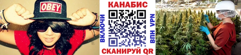 Марихуана сатива  купить наркоту  Мирный 